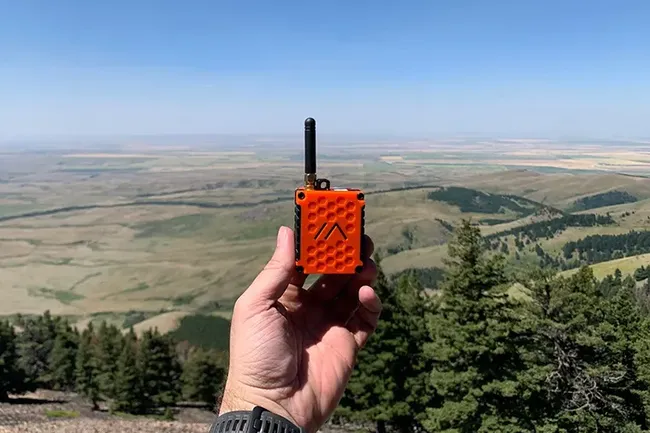 Россияне переходят на «радиопейджеры» из-за отключений интернета: как они работают