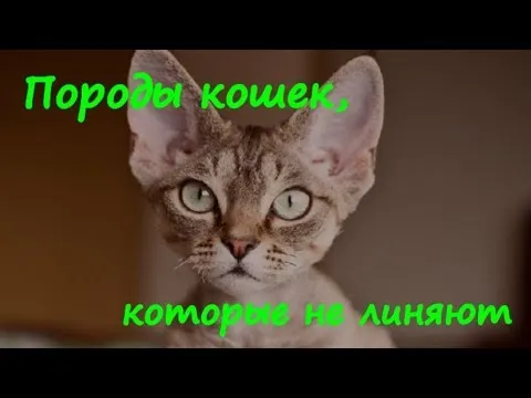 Нажми и смотри