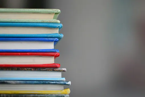 Больше никакого обществознания: с 1 сентября предмет почти исчезнет из школьной программы Больше никакого обществознания: с 1 сентября предмет почти исчезнет из школьной программы