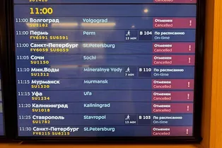 Как возвращаться домой после праздников: что происходит в российских аэропортах 11 января