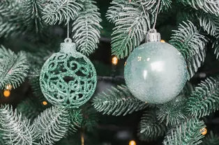 Советская елка: как появился праздник и какие обычаи с ним связаны Советская елка: как появился праздник и какие обычаи с ним связаны