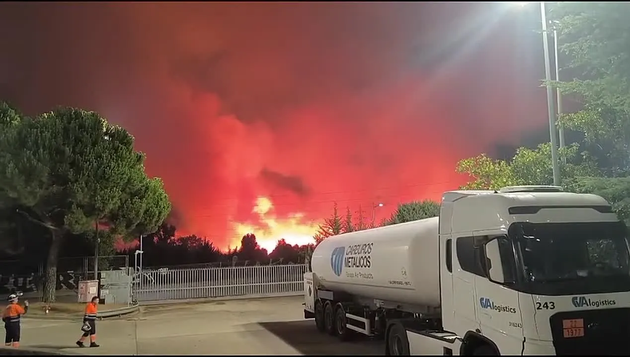 Нажми и смотри