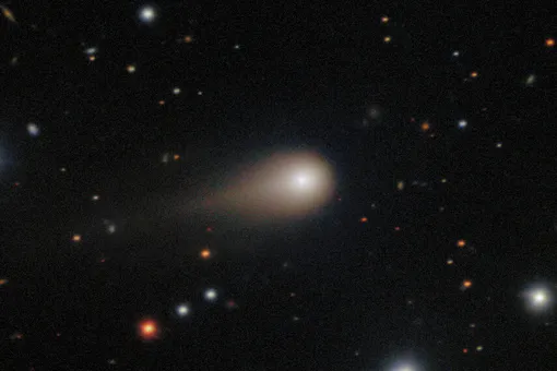 Гостья из глубин космоса: астроном поставил точку в вопросе о происхождении кометы 3I/ATLAS Гостья из глубин космоса: астроном поставил точку в вопросе о происхождении кометы 3I/ATLAS