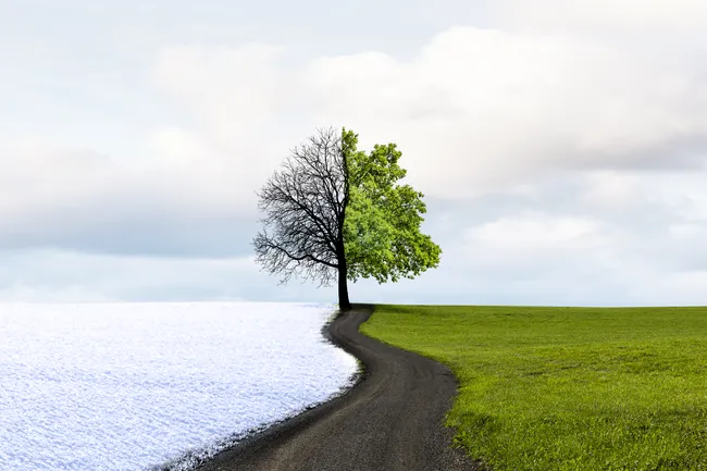 Аномалии станут чаще и сильнее: чего ждать от погоды в 2026 году