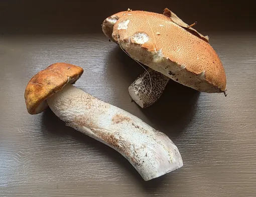 Московская область, Коломенский район Московская область, Коломенский район