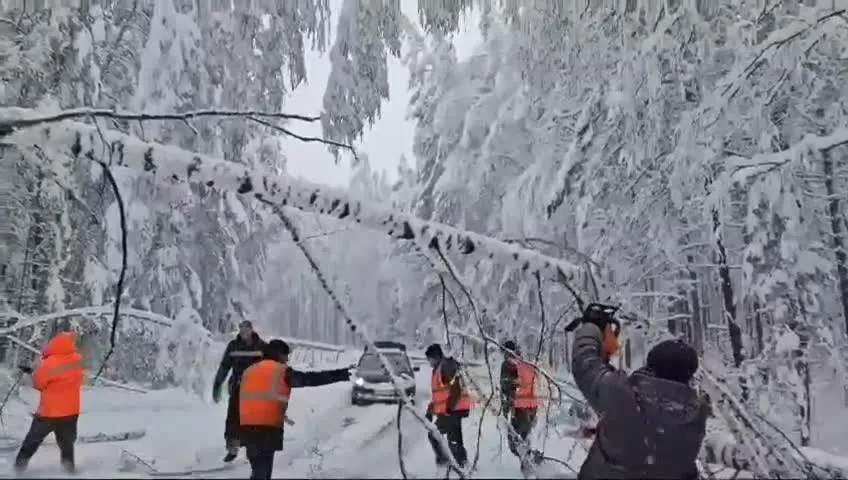 Нажми и смотри Нажми и смотри