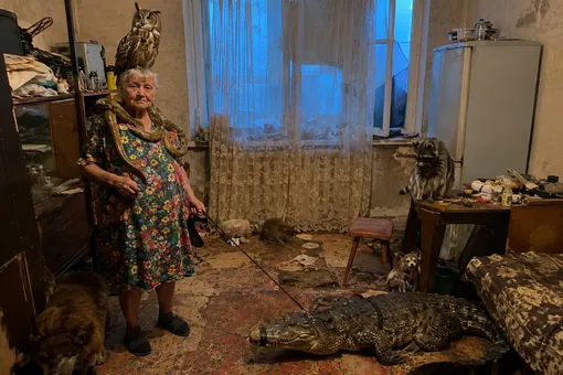 Москвичке запретили держать в квартире крокодила, удава и еще десятки животных Москвичке запретили держать в квартире крокодила, удава и еще десятки животных