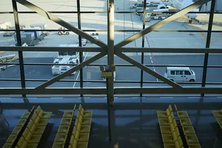 Москву накрыли массовые отмены рейсов: что происходит в российских аэропортах 20 октября Москву накрыли массовые отмены рейсов: что происходит в российских аэропортах 20 октября