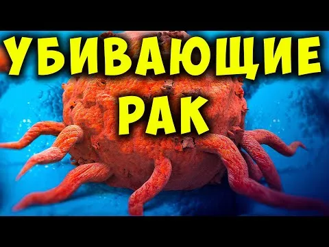 Нажми и смотри