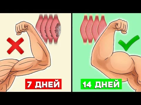 Нажми и смотри