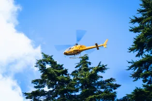 Ушли в тайгу и не вернулись: в Красноярском крае загадочно исчезла семья с 5-летним ребенком