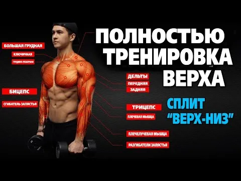 Нажми и смотри Нажми и смотри