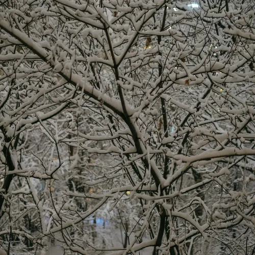 В Москву идут сильные морозы: синоптики предупреждают москвичей о преждевременном похолодании