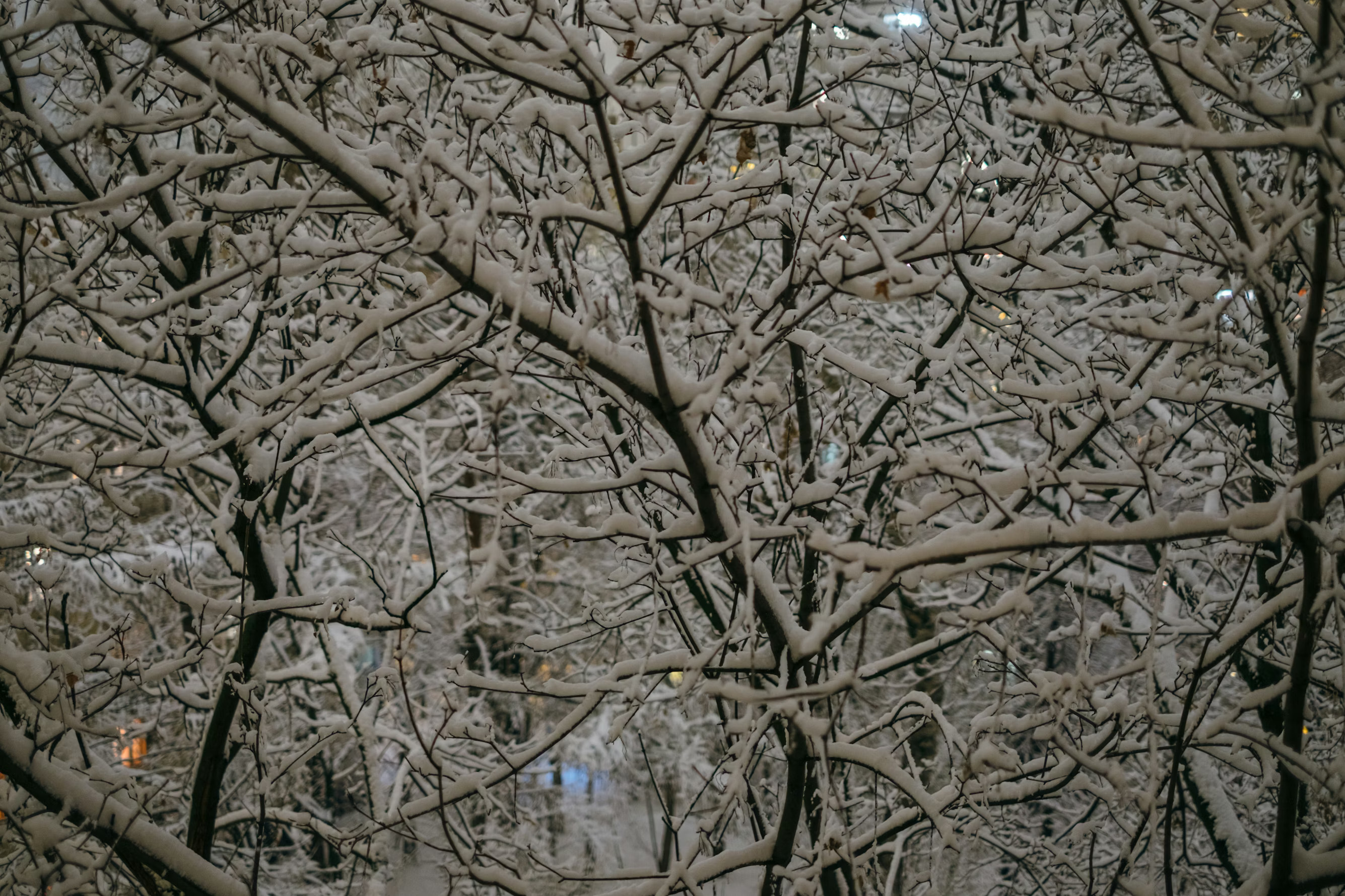 В Москву идут сильные морозы: синоптики предупреждают москвичей о преждевременном похолодании