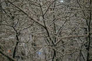 В Москву идут сильные морозы: синоптики предупреждают москвичей о преждевременном похолодании