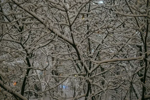 В Москву идут сильные морозы: синоптики предупреждают москвичей о преждевременном похолодании В Москву идут сильные морозы: синоптики предупреждают москвичей о преждевременном похолодании
