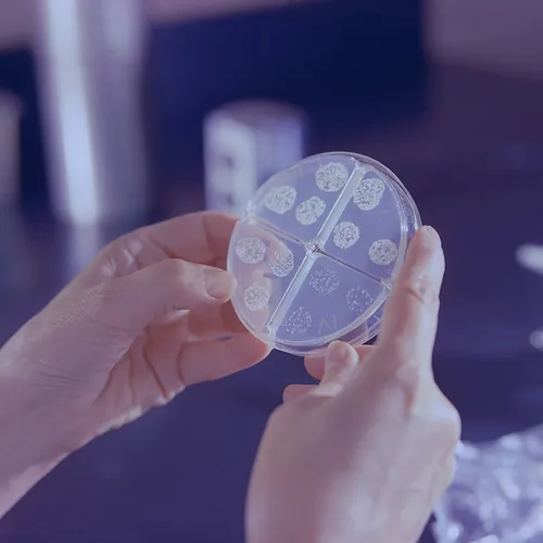 В ВОЗ назвали главную инфекционную болезнь, которая уносит более миллиона жизней в год: что об этом важно знать