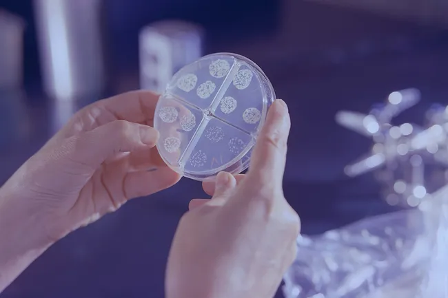 В ВОЗ назвали главную инфекционную болезнь, которая уносит более миллиона жизней в год: что об этом важно знать