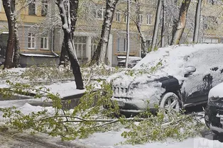 «Оставайтесь дома». Москвичей предупредили о транспортном коллапсе из-за снега: когда закончится непогода