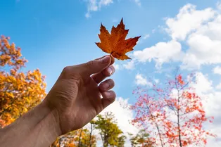 Зима пока откладывается: россиян ждет аномально теплая погода в конце октября Зима пока откладывается: россиян ждет аномально теплая погода в конце октября