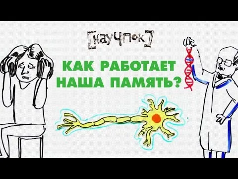 Нажми и смотри Нажми и смотри