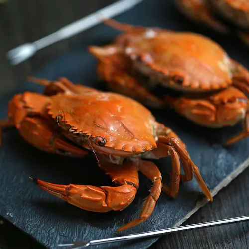 Сколько стоит настоящий краб и как его выбрать: все о хитрой науке, чтобы порадовать себя на Новый год