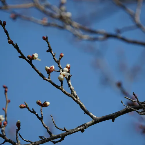 Когда в Москву придет настоящая весна? Синоптики назвали точную дату