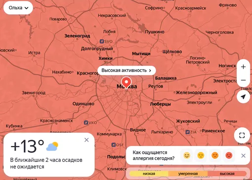 Карта распространения пыльцы в Москве 30 марта 2026
