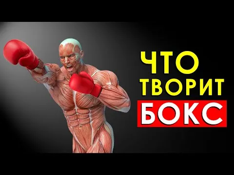 Нажми и смотри