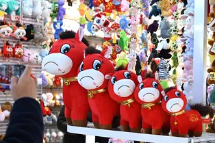 Кукума вместо Лабубу: в Китае вирусится плюшевая лошадь с перевернутой улыбкой