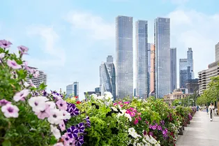 «Лето будет с мая по сентябрь»: когда климат Москвы может стать тропическим «Лето будет с мая по сентябрь»: когда климат Москвы может стать тропическим