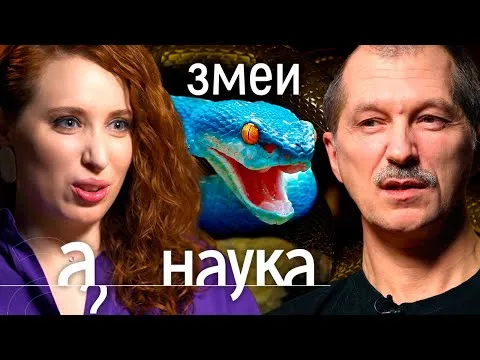 Нажми и смотри