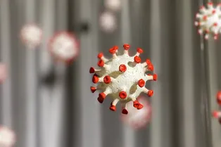 Инфекционист спрогнозировал появление новой мутации коронавируса