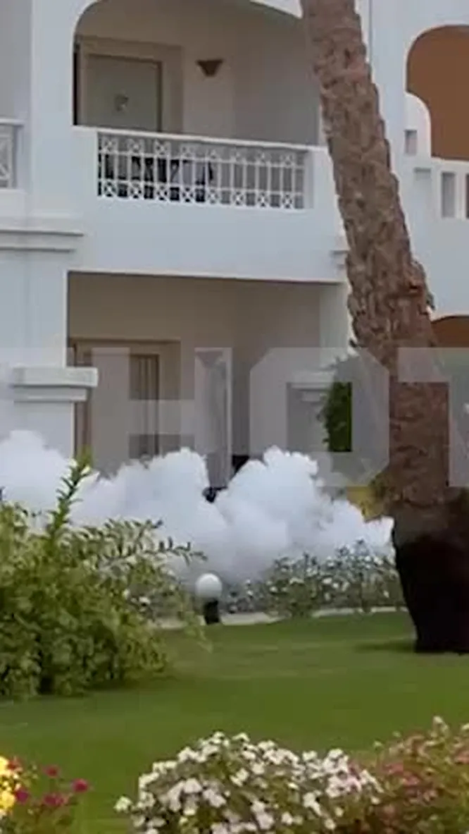 Нажми и смотри