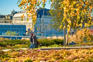 Среда порадует теплом: погода и магнитные бури в Москве 28 октября