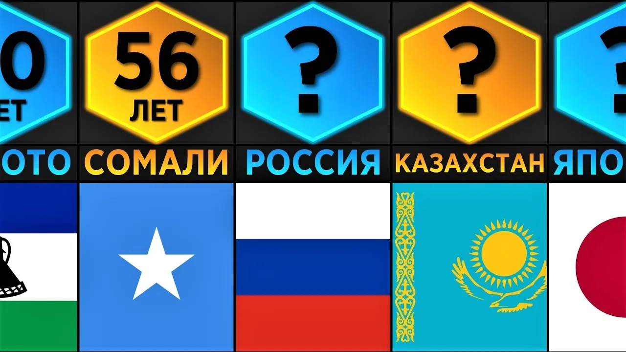 Нажми и смотри Нажми и смотри