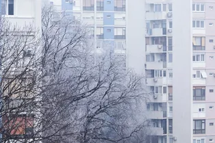 Магнитная буря и снегопады испортят день: погода в Москве 29 января