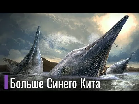 Нажми и смотри