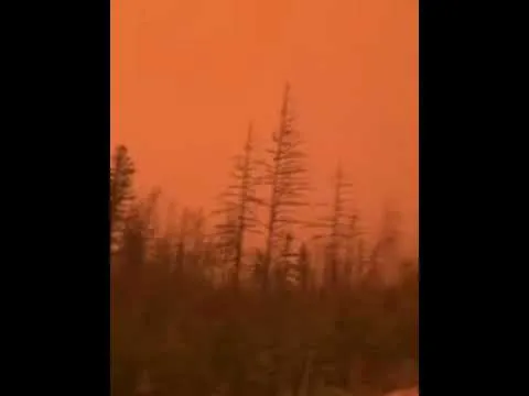 Нажми и смотри