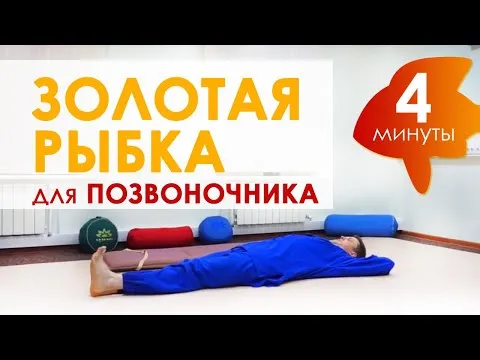 Нажми и смотри