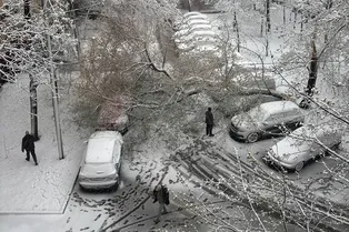 «Поездки на паузе»: Москва осталась без каршеринга и самокатов из-за снегопада