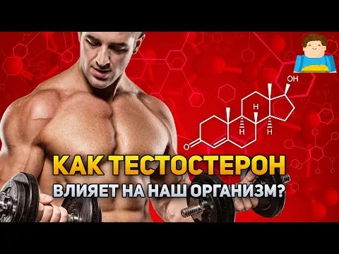 Нажми и смотри
