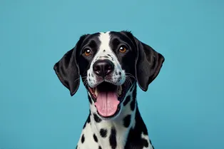 Мошенники начали использовать ИИ, чтобы вымогать деньги у людей, потерявших питомцев. Как работает схема?