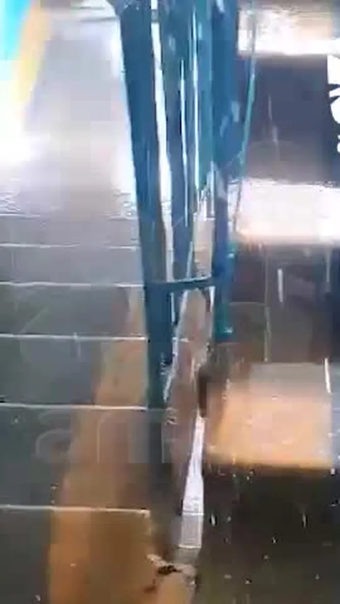 Нажми и смотри