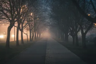 Зима началась с бесснежья и тепла: погода и магнитные бури в Москве 1 декабря Зима началась с бесснежья и тепла: погода и магнитные бури в Москве 1 декабря