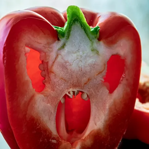 Вкус — это иллюзия: как наш мозг решает, будет ли еда вкусной, еще до первого укуса