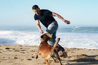 В беде не бросит: 7 ярких фильмов о дружбе человека и собаки