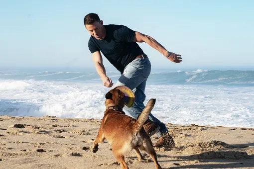 В беде не бросит: 7 ярких фильмов о дружбе человека и собаки