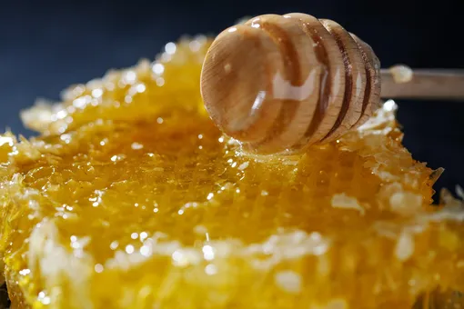 Эксперты объяснили, что такое мед на самом деле и стоит ли использовать его в качестве лекарства Эксперты объяснили, что такое мед на самом деле и стоит ли использовать его в качестве лекарства