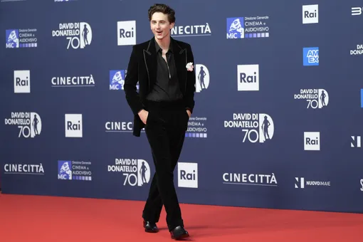 Тимоти Шаламе — самый высокооплачиваемый молодой актер в Голливуда: насколько он круче остальных?